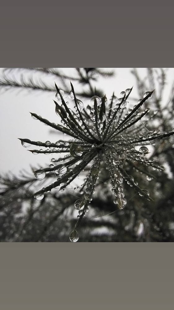 Photograph by Елена Киселёва
