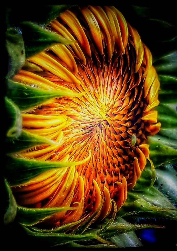 Photograph by Марина Мальцева