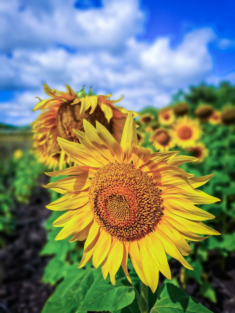 Photograph by Марина Мальцева