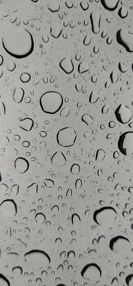 Photo #12603770