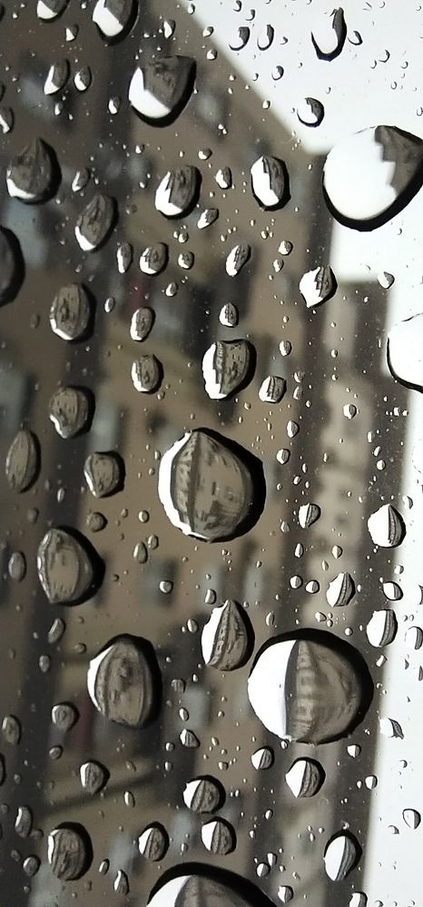 Photograph by Елена Киселёва
