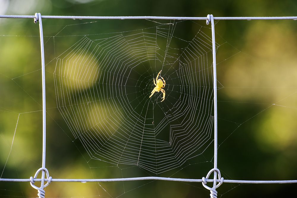 Photograph by Irina Grigoryeva