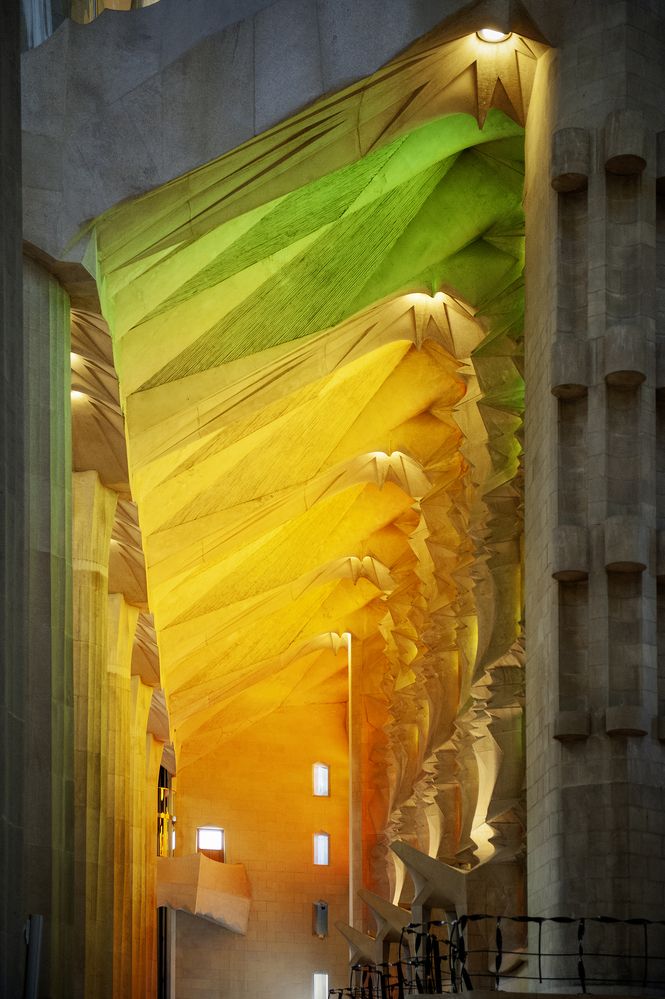 Photograph by Irina Grigoryeva