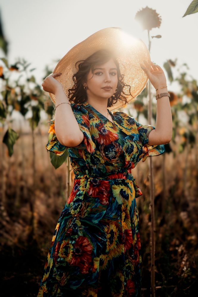 Фотография автора Milad Mohammadi