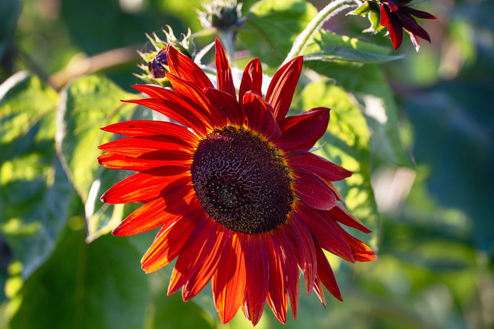 Photograph by ЕЛЕНА Рохо-Фернандес