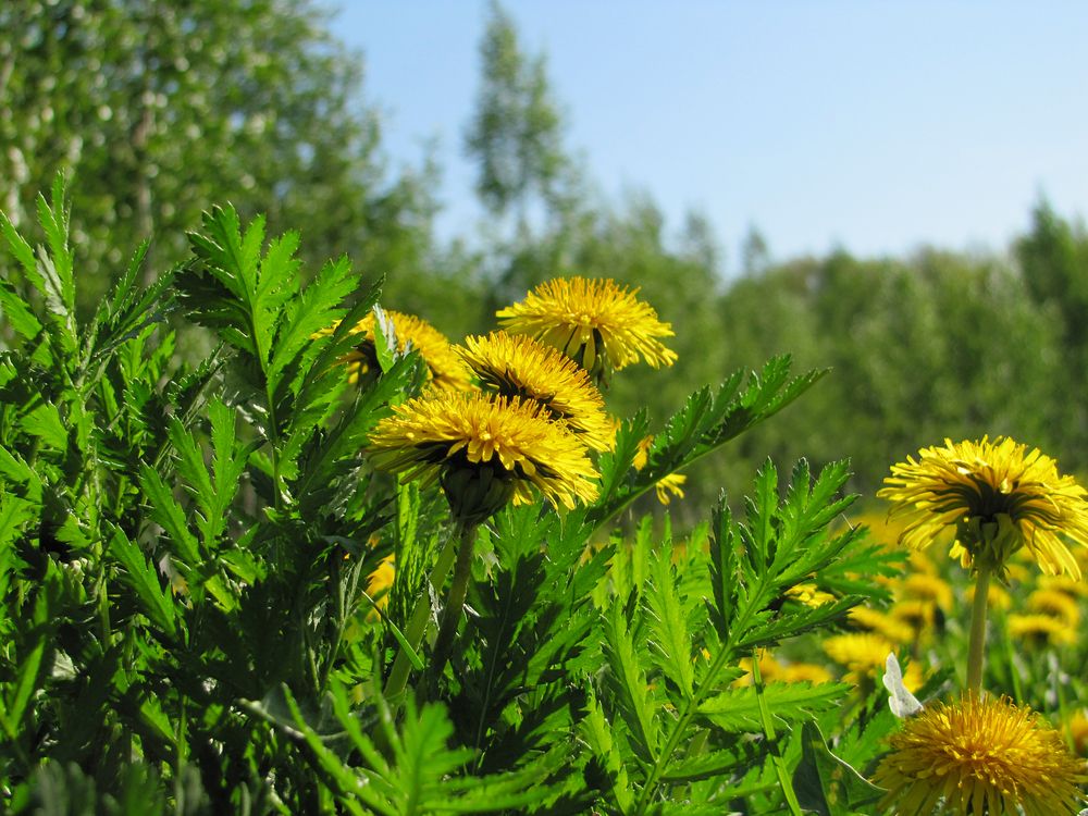 Photograph by Наталья Кузнецова