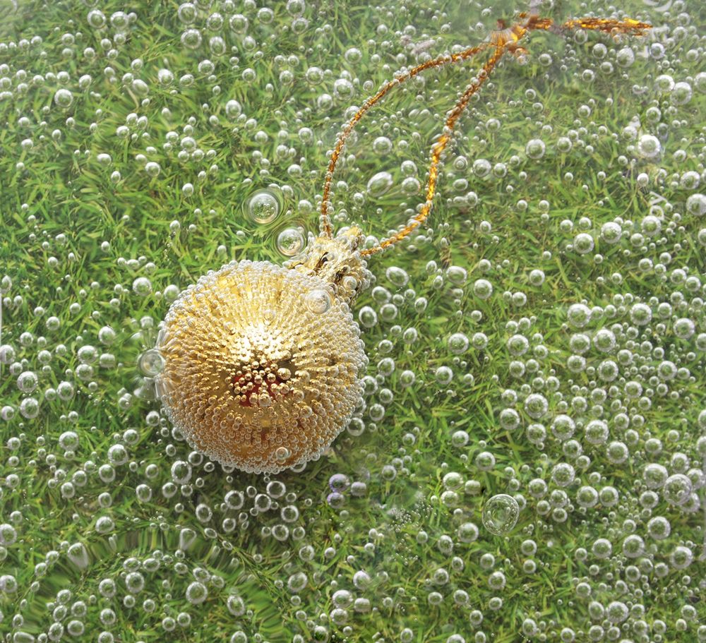 Photograph by Аркадова Елена