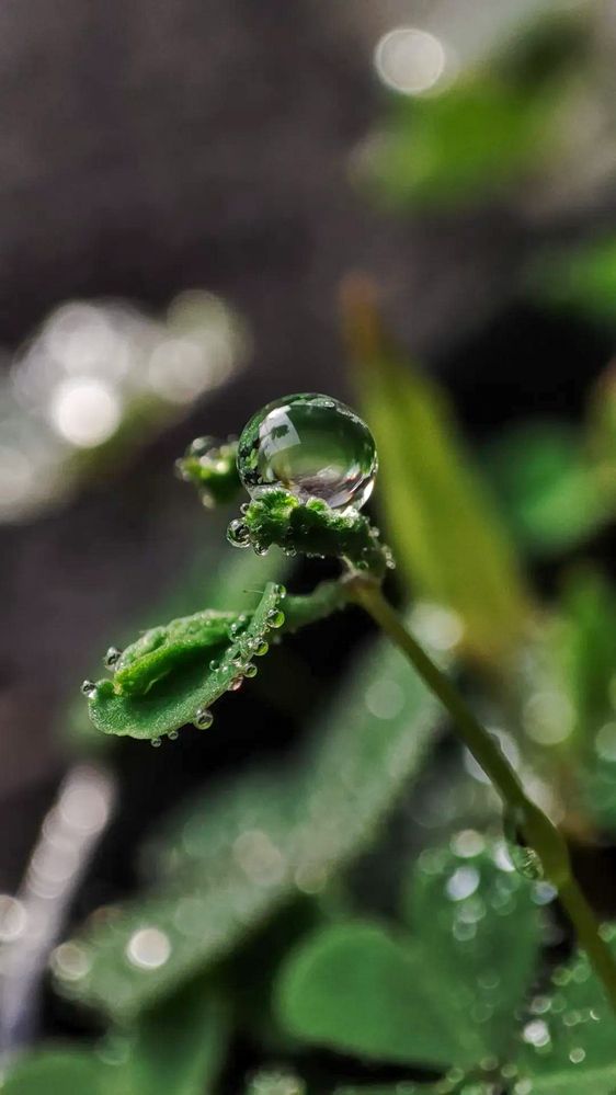 Photograph by Idham Ciptamargana