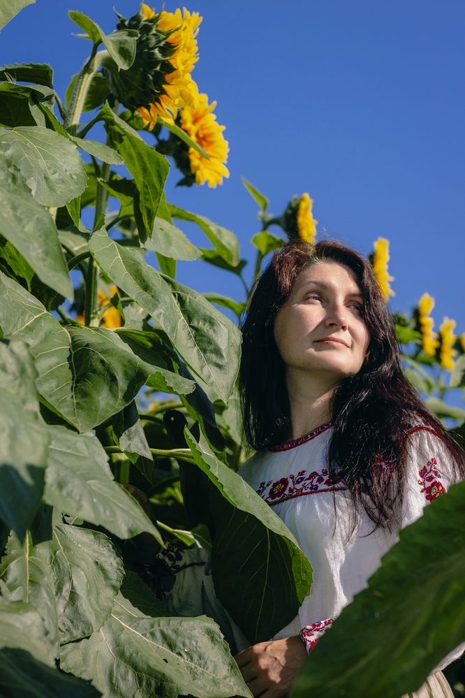 Photograph by Дарья Улюсова