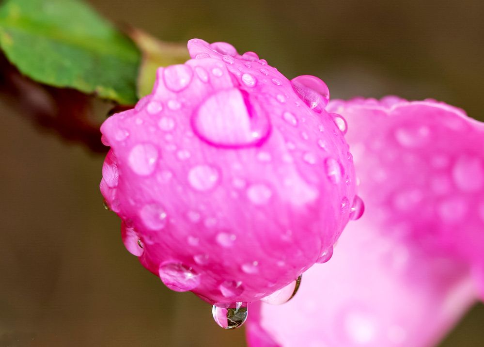 Photograph by Farrukh Sidddiqi