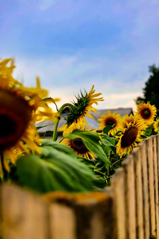 Photograph by Руслана Ковалевская