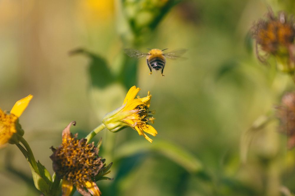Photograph by ЕЛЕНА Рохо-Фернандес