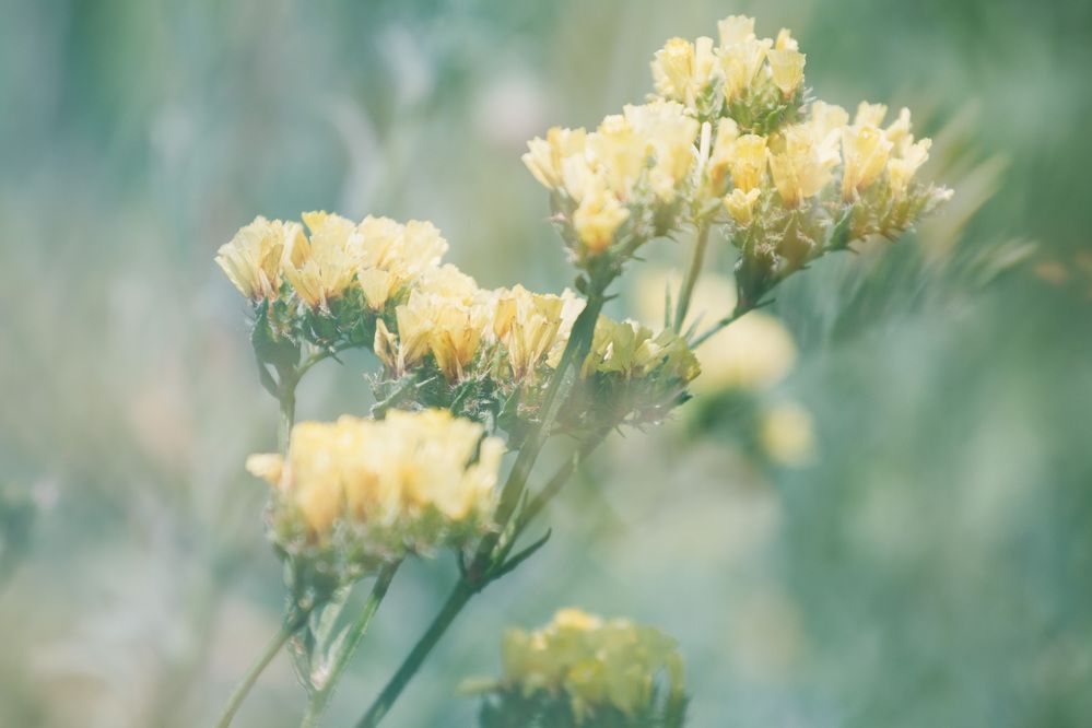 Photograph by ЕЛЕНА Рохо-Фернандес