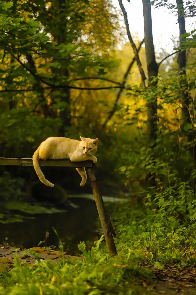 Photograph by Руслана Ковалевская