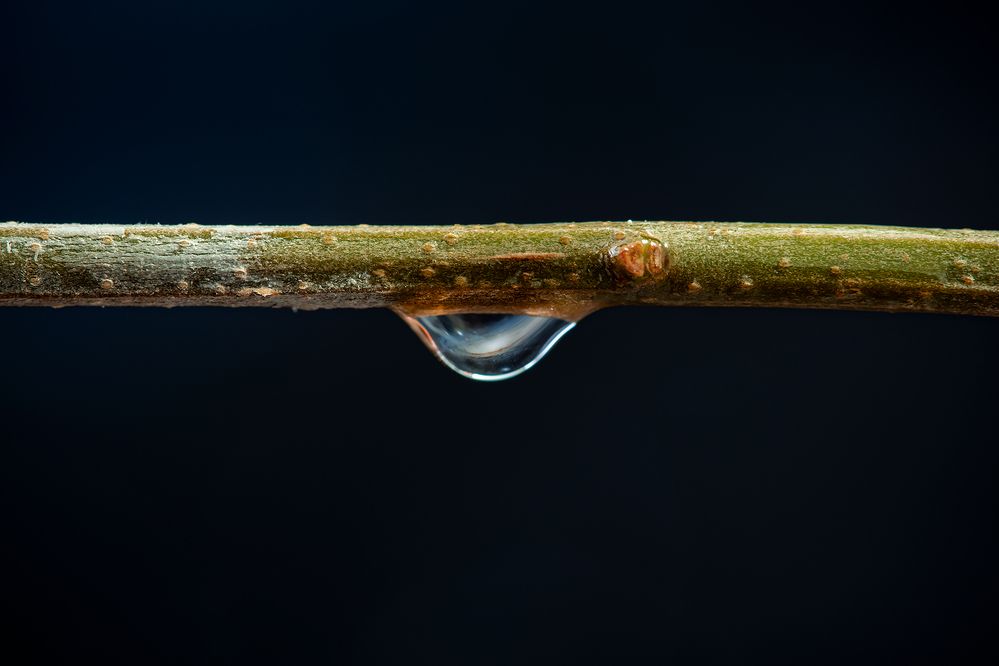 Photograph by Massimo Tamajo