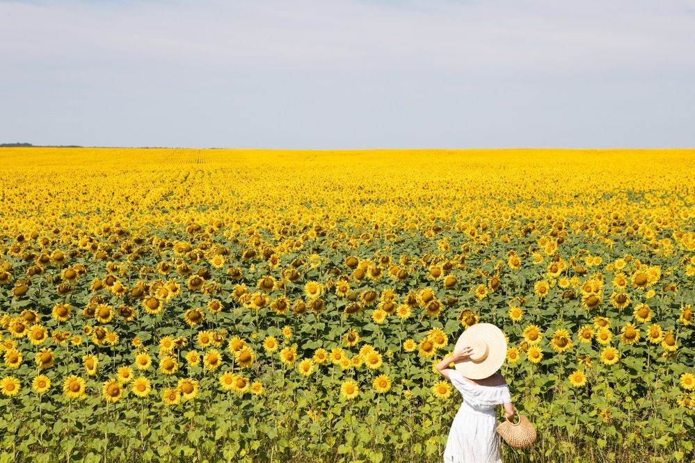 Photograph by Алексей Пирязев