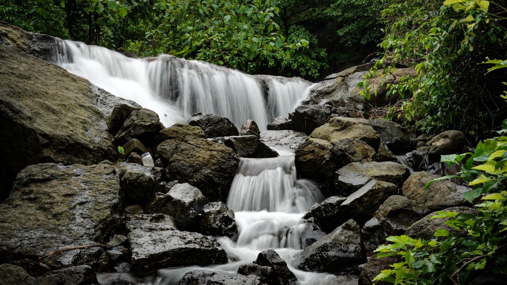 Фотография автора Manish Rao