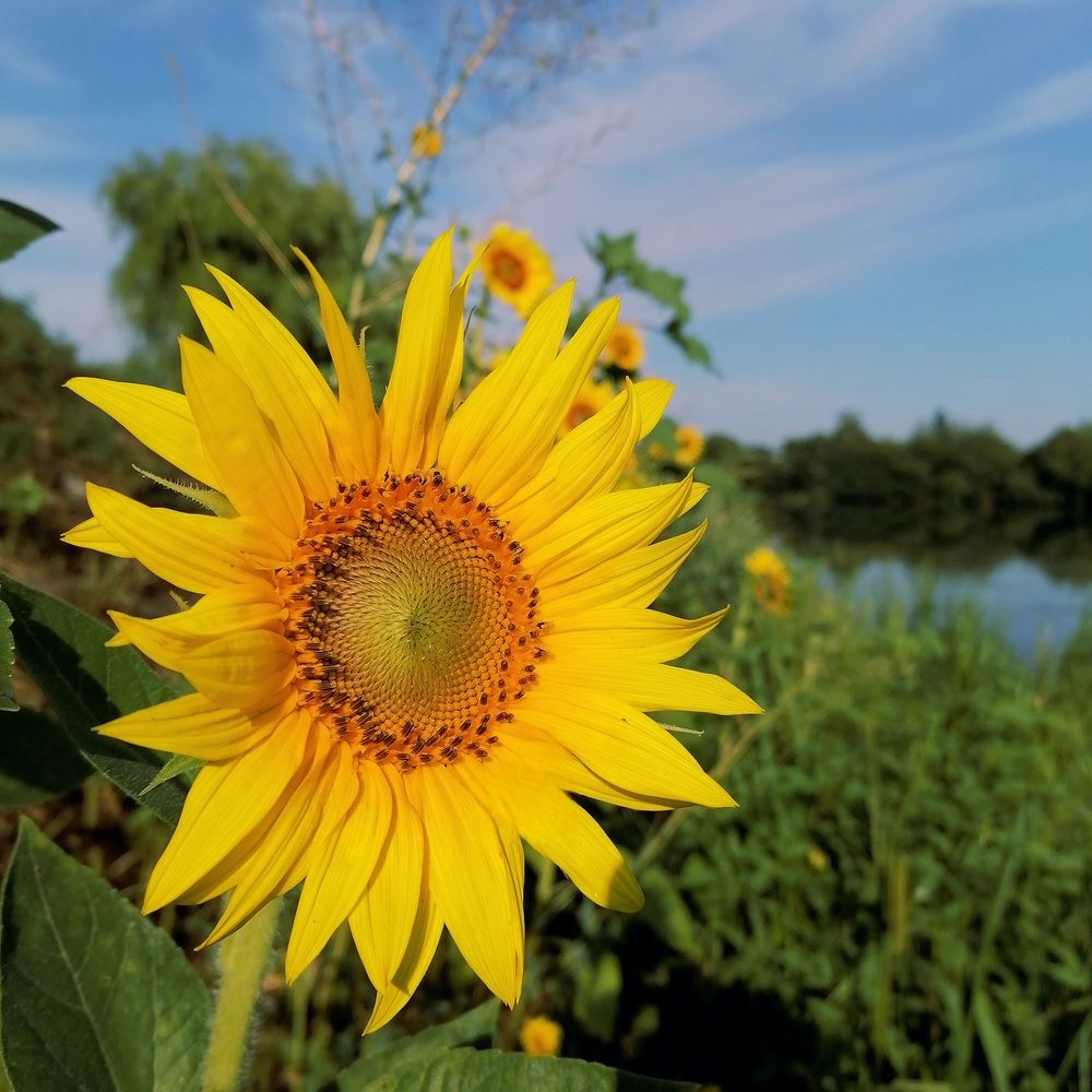 Фотография автора Анатолий Борисенко