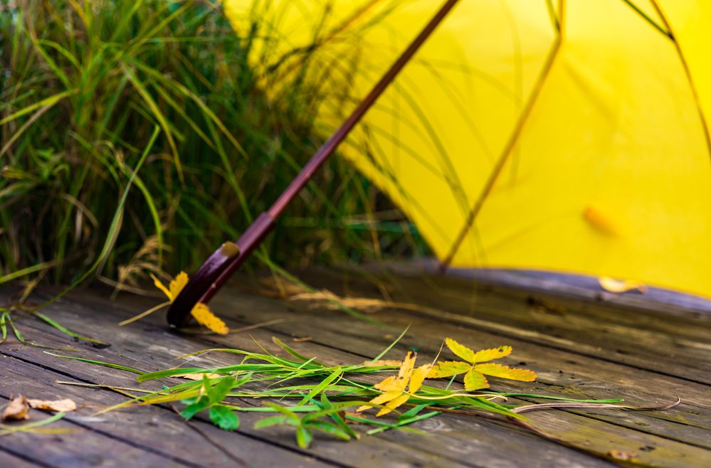 Photograph by Татьяна Генералова