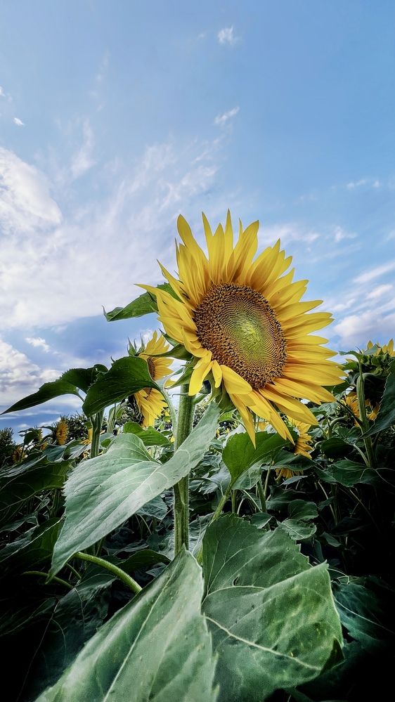 Photograph by Swetlana Lebedev