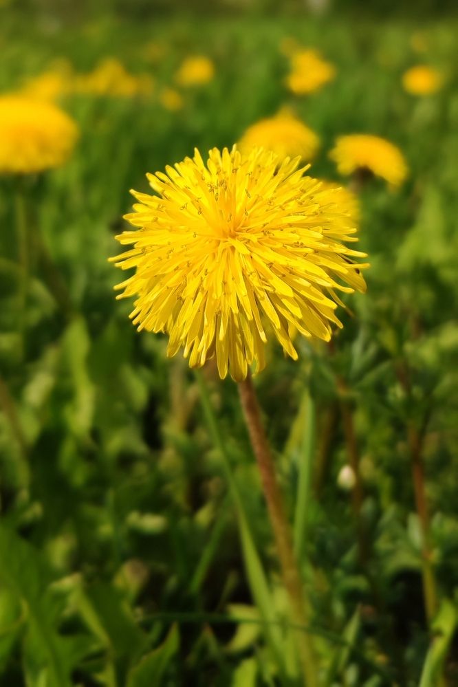 Фотография автора Валерий Жданов