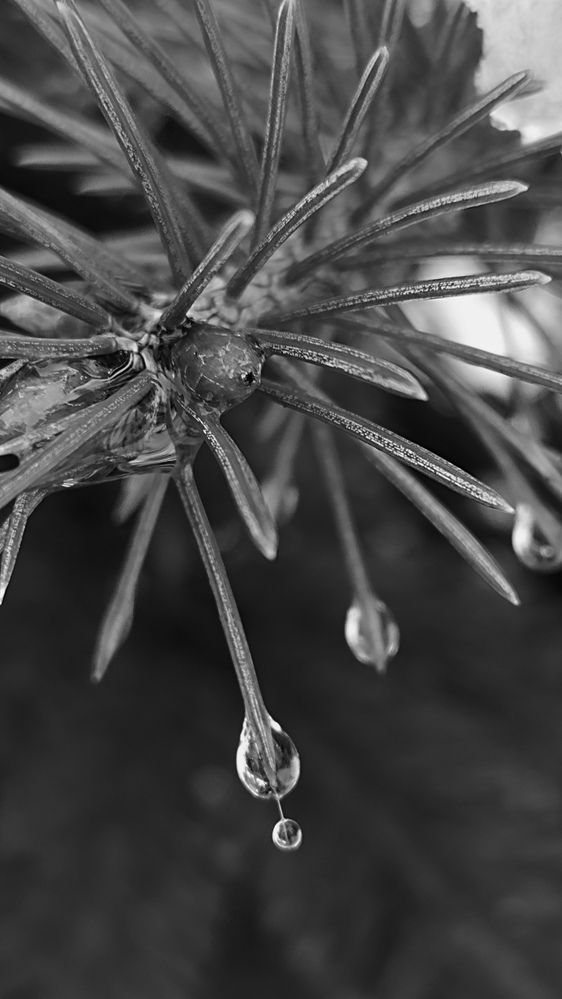 Photograph by Ирина Семенович