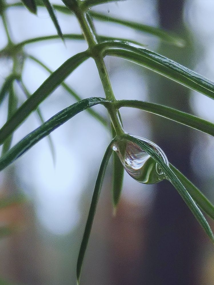 Photograph by Ирина Семенович