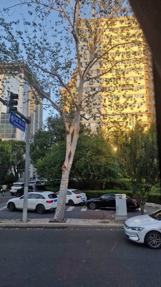 Photograph by Gemelina Opriș