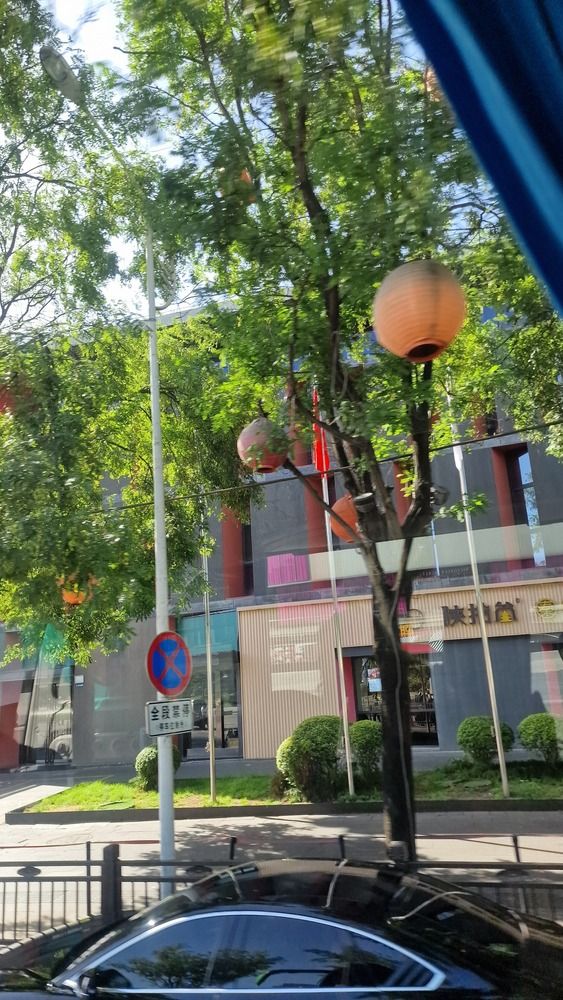 Photograph by Gemelina Opriș