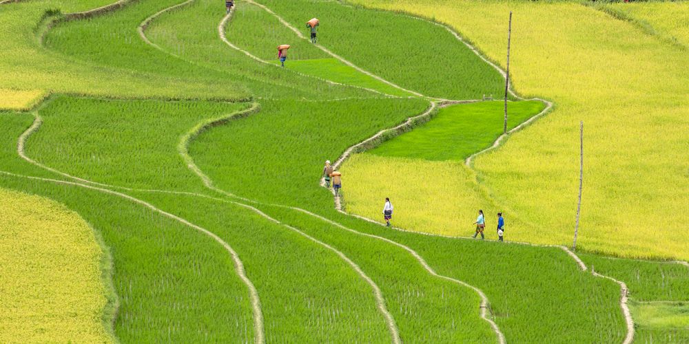 Фотография автора QUAN NGUYEN HUNG