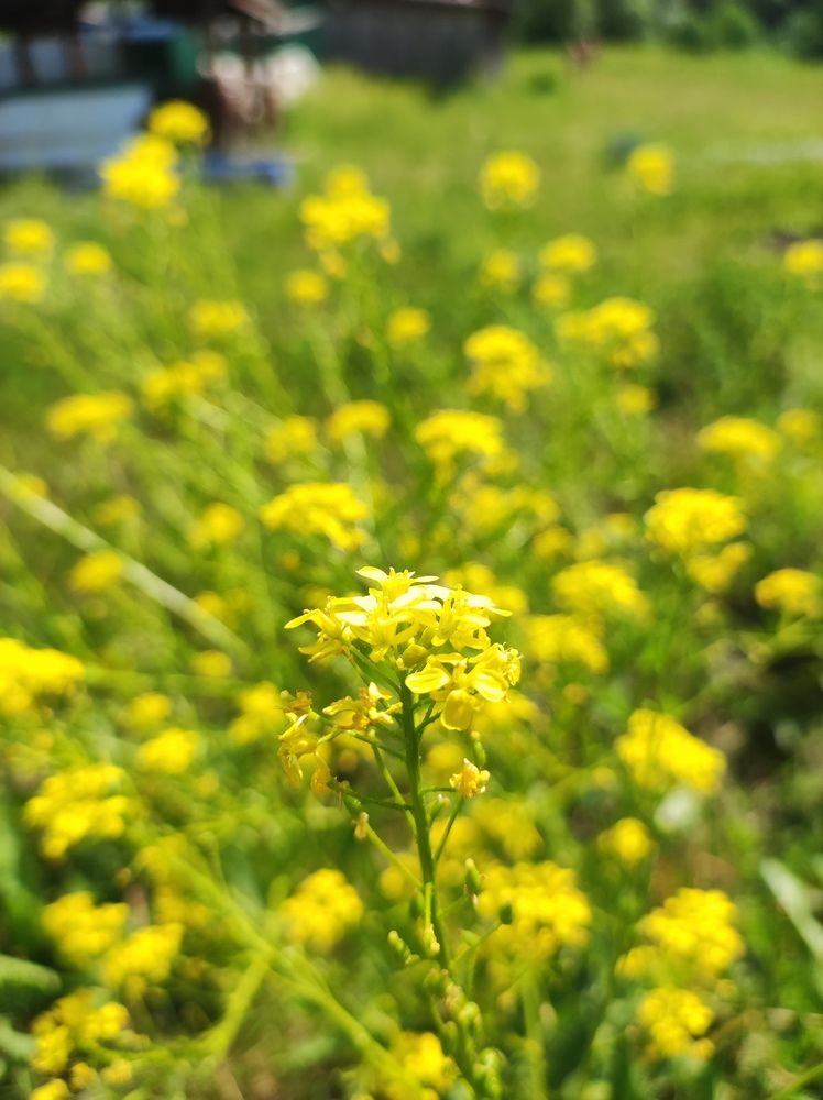 Photograph by Татьяна Никулина