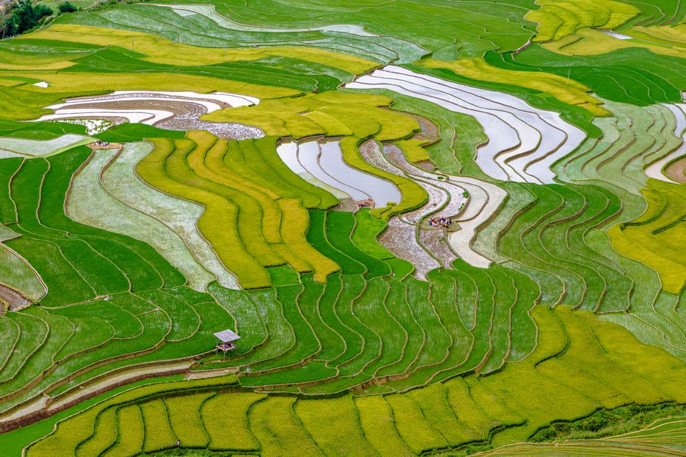 Фотография автора QUAN NGUYEN HUNG