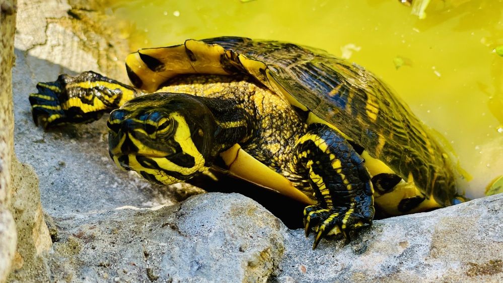 Photograph by Марина Измайлова