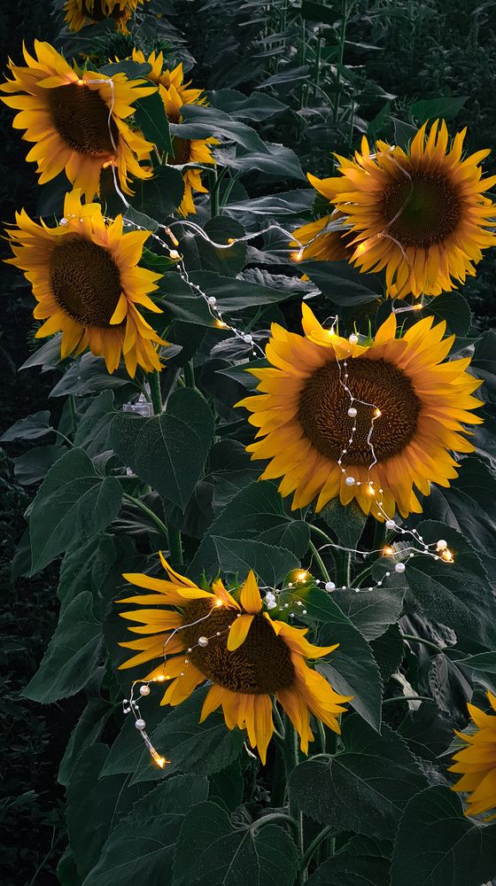 Photograph by Елена Гунько