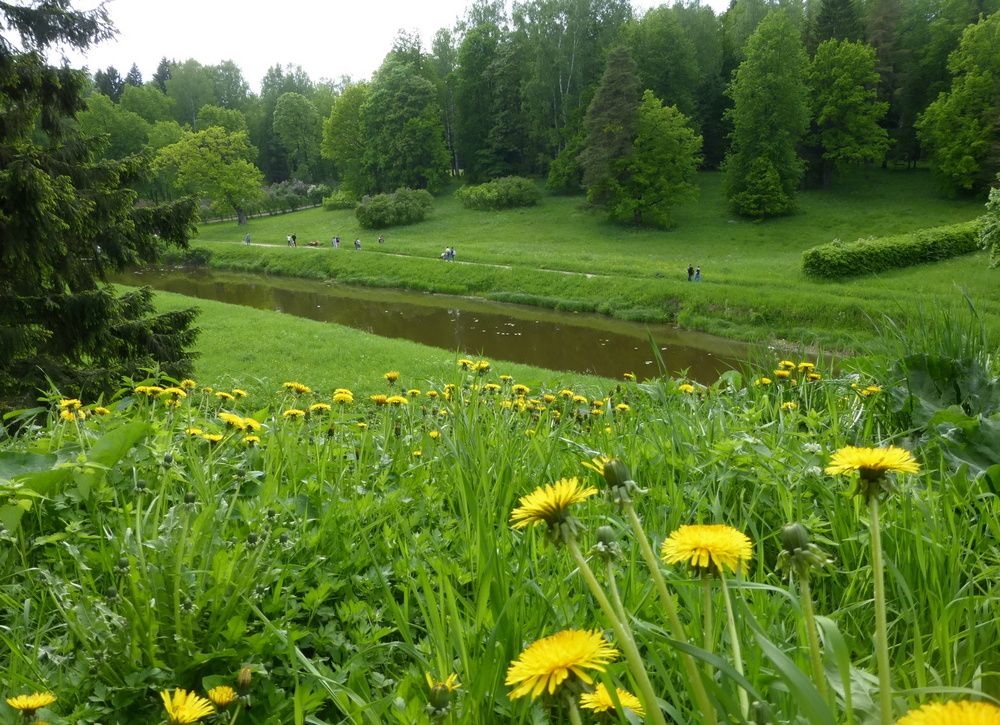 Photo #12604147
