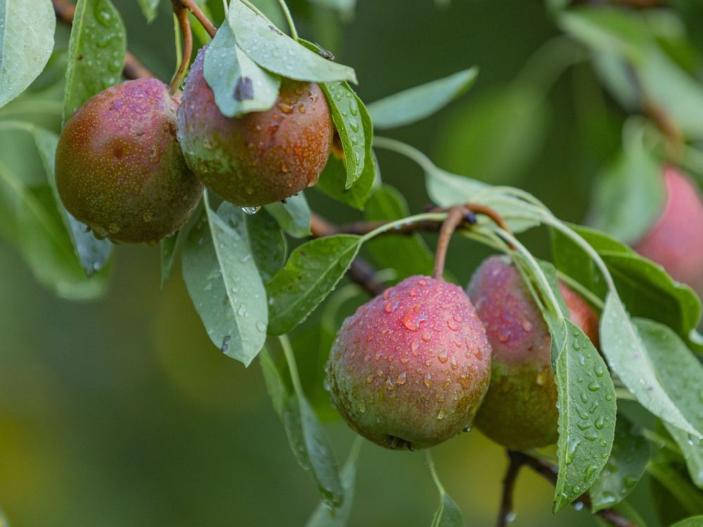 Photograph by Егор Кузин