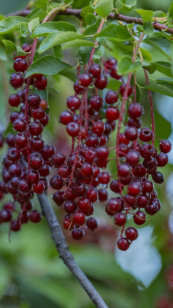 Photograph by Егор Кузин