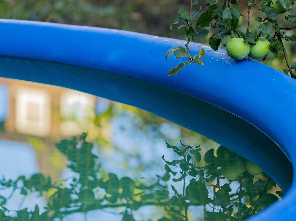 Photograph by Егор Кузин