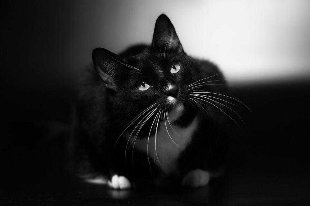 Photograph by Елена Казакова