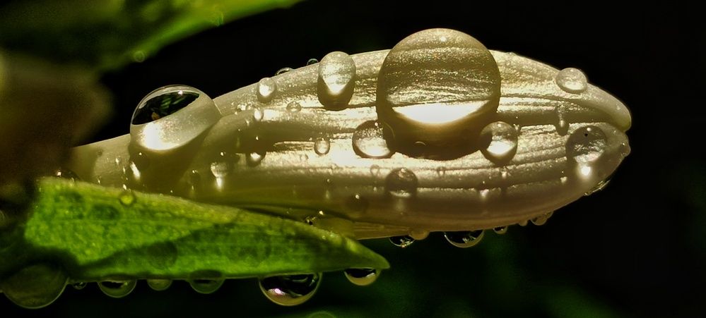 Photograph by Татьяна Стаскевич