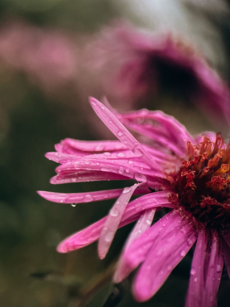 Photograph by Александра Кишикова