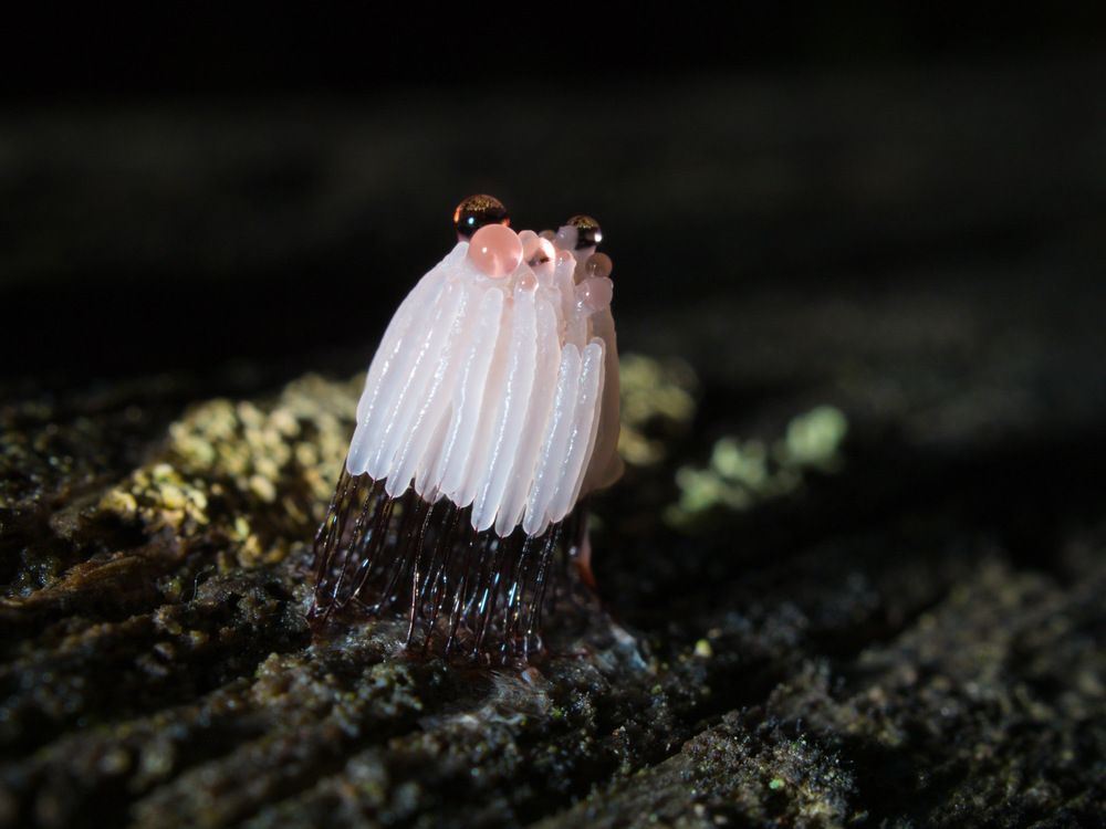 Photograph by Алексей Поляков