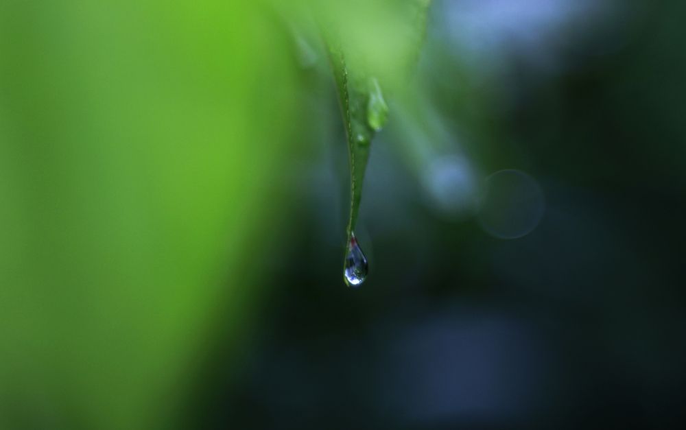 Фотография автора Павел Мартюшев