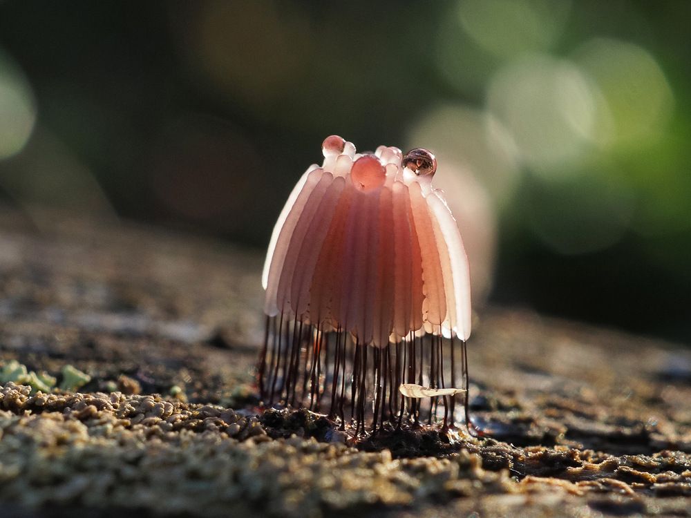 Photograph by Алексей Поляков