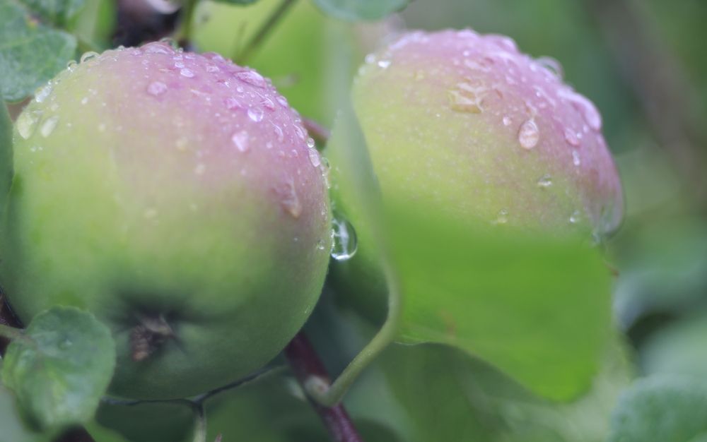 Фотография автора Павел Мартюшев