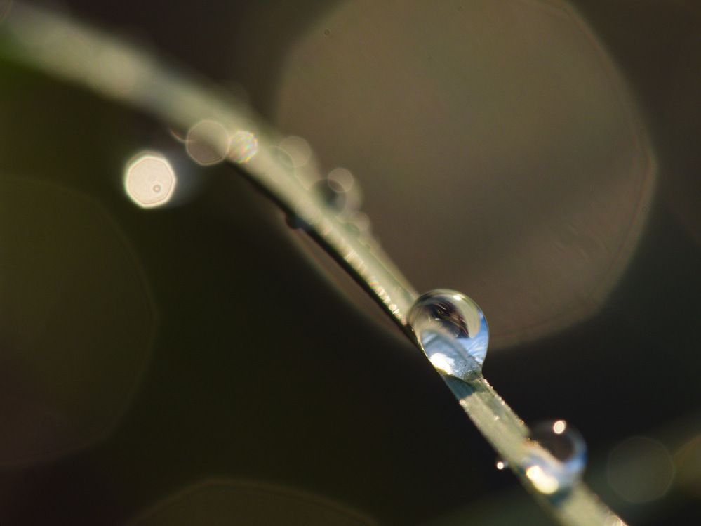 Photograph by Алексей Поляков