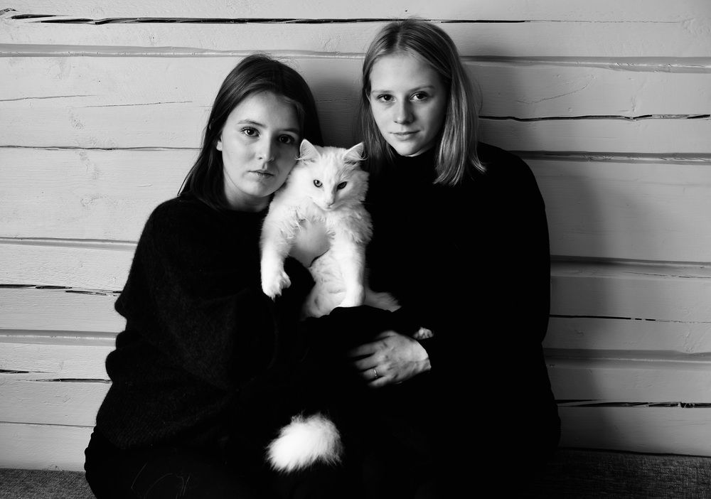 Любимый кот