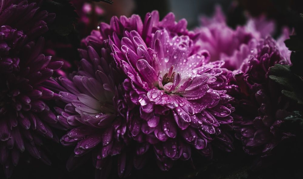 Photograph by Даниил Сырбу