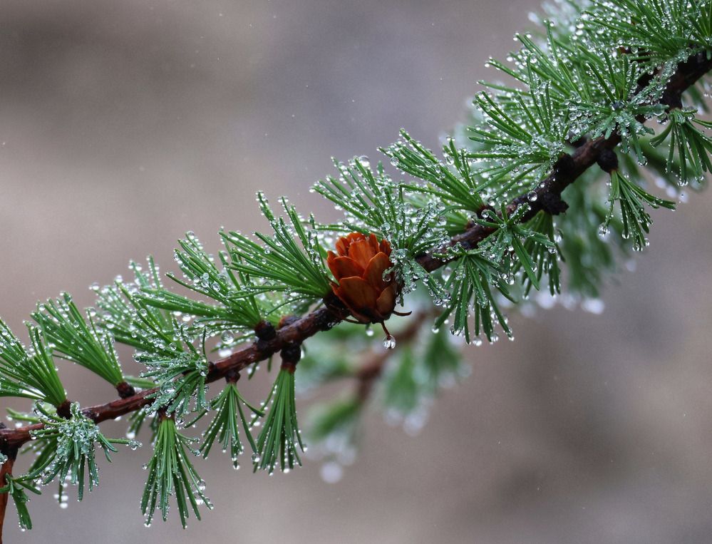 Фотография автора Юлия Егорова