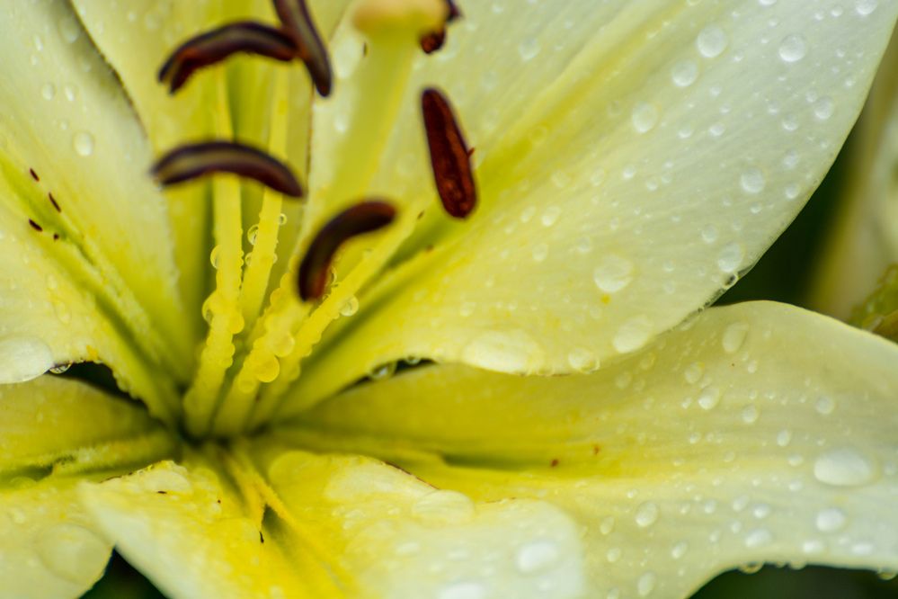 Photograph by Анастасия Гурова